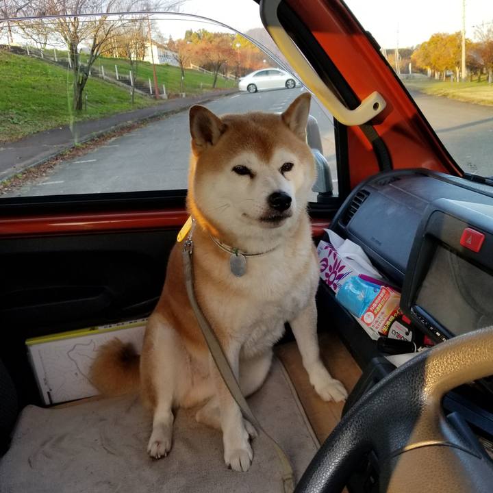 1ebca414 50e4 42b7 b6dc f3aab4f2d1ff 1636096511545