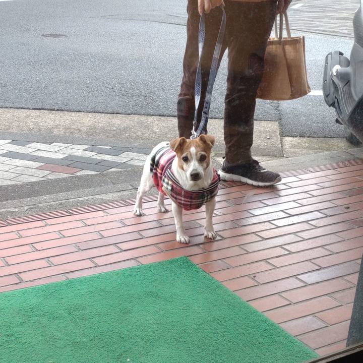 1ebcd187 2e74 42d7 b88e 9da886c8b8bd 1766190098038