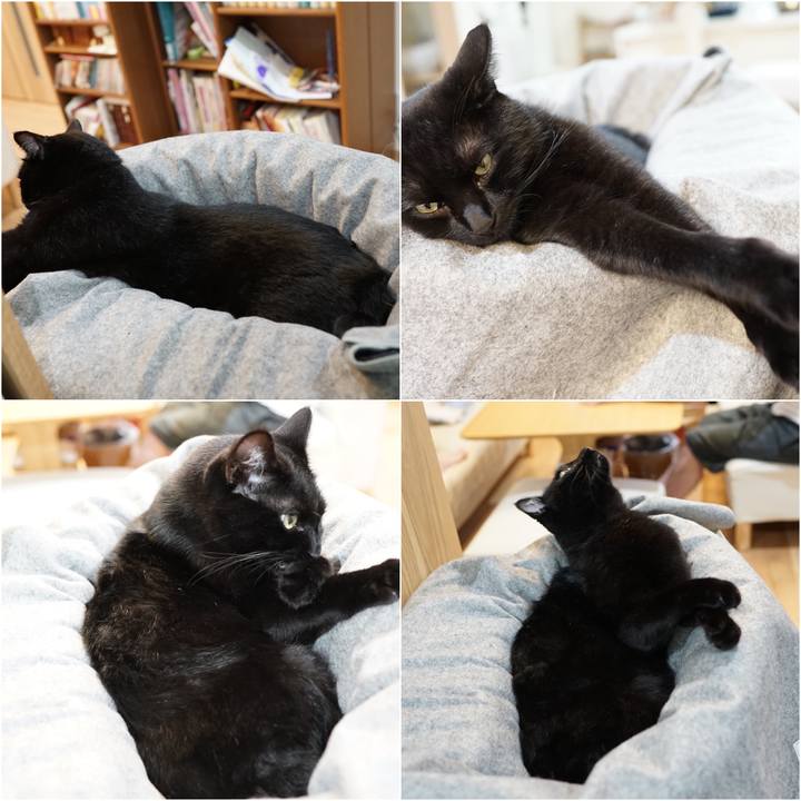 1ebcdccf 3e10 4784 8c6d 4f29293f8560 1564097430831