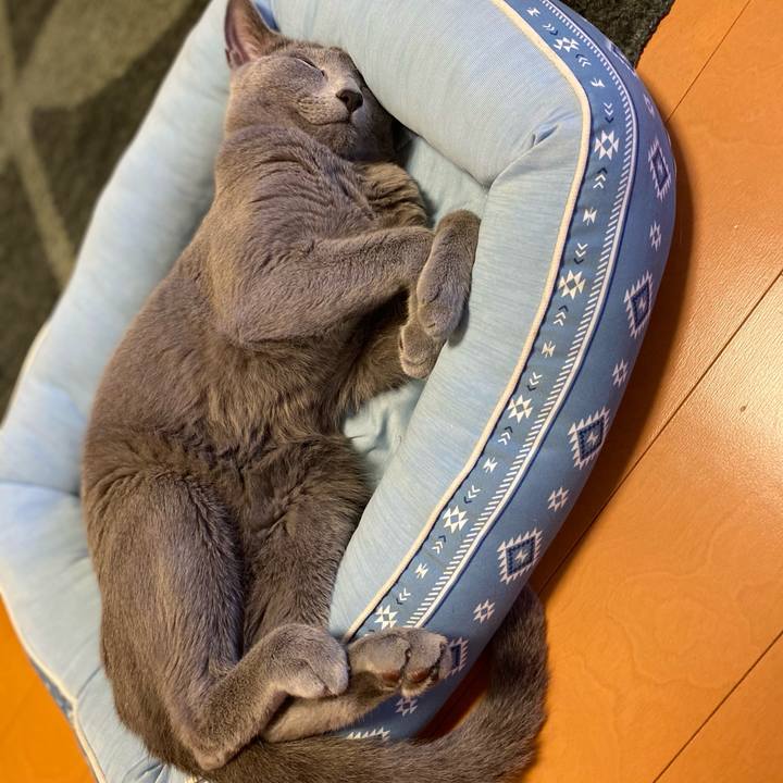 1ebcdfb6 c5e3 4229 a248 0023fed0a94f 1630468151235