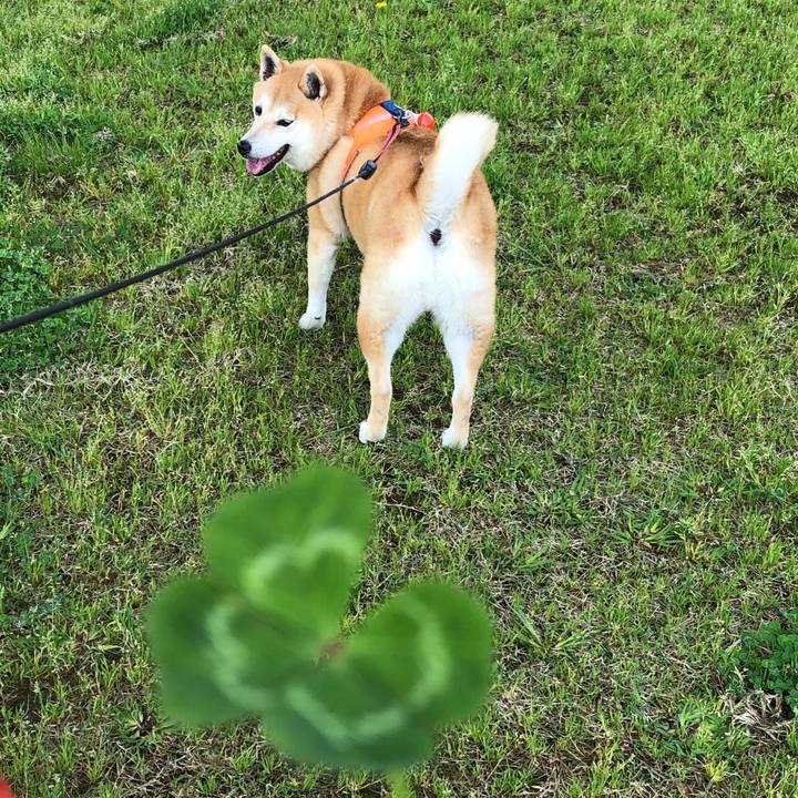 1ebceb3f 12b2 42fe b7f4 59e10d8feec0 1556802959031