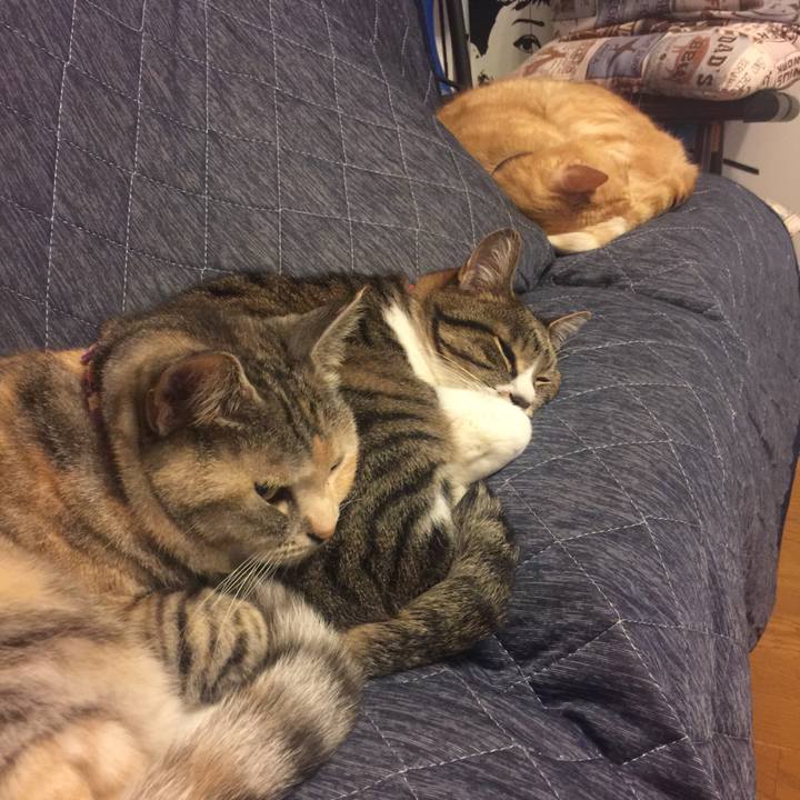 1ebcf56a 3603 455e 9fcd 6a22bb122a1c 1560253966108