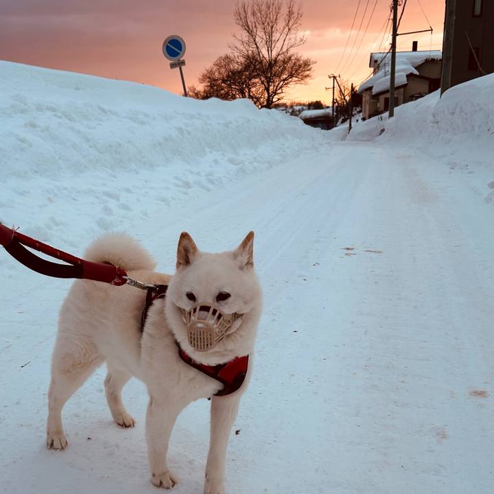 1ebcf707 e0b5 4d6e a238 275d116ac015 1707781572212