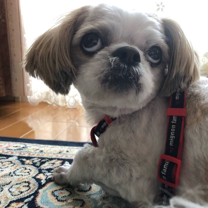 1ebd0090 3365 4480 ba4b 23acc28d5e89 1557618305470