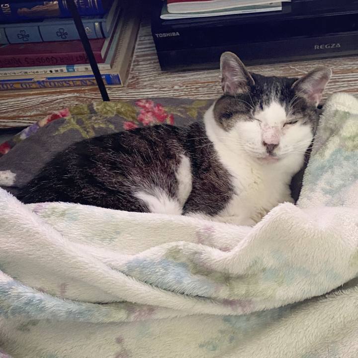 1ebd678f f94d 487e ba8e 23844f5097f1 1588750797821