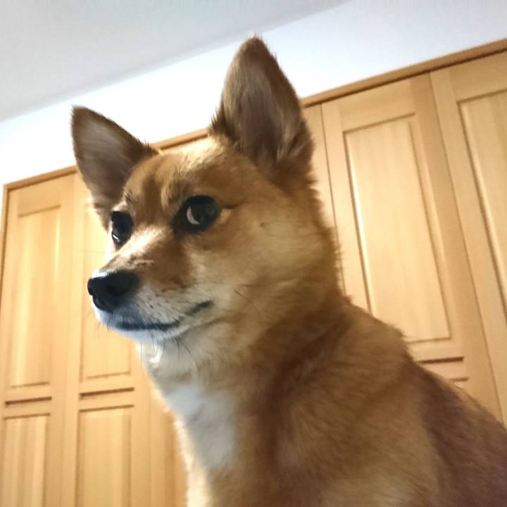 1ebda206 9012 4749 9a7a 380bbb9d928b 1550589488020