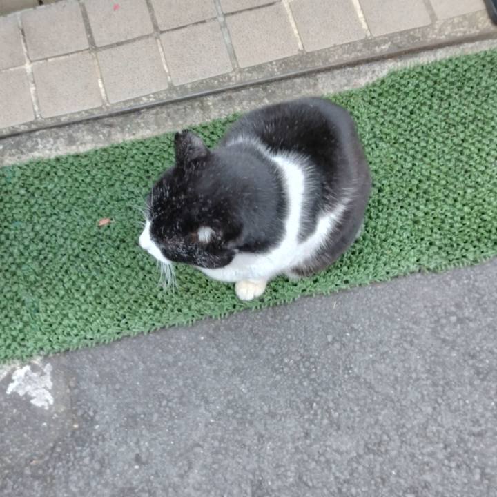 1ebda477 8891 4156 a4e0 5fb11791d26d 1704857061817