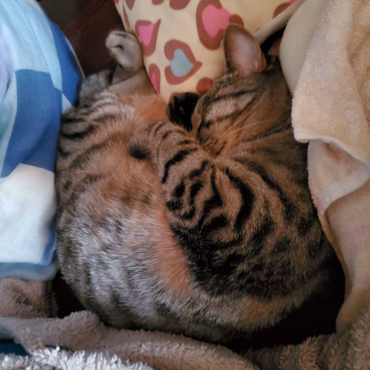 1ebdd369 611c 4eba 8ad0 2806d6509b33 1716069283790