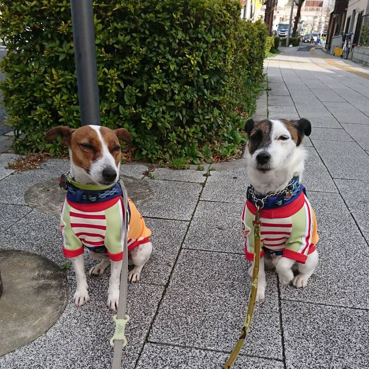 1ebe1a48 5570 4206 8cba 083f760f1af1 1615504081633