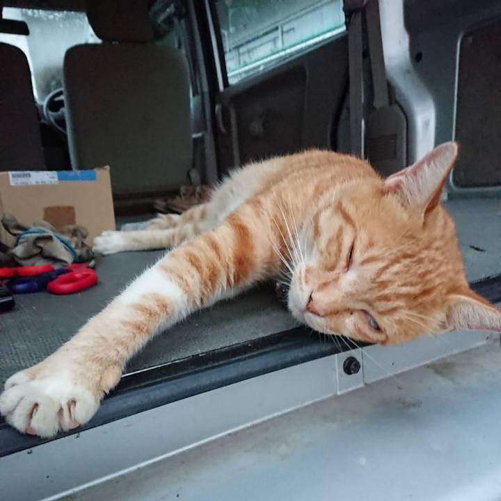 1ebe6fe4 e0e5 436f ac7e 02c08ea143bf 1566207365290