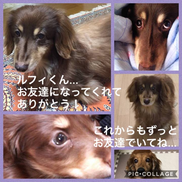 1ebeaa4a c42a 4a47 ade0 c777d22f200d 1564561256775