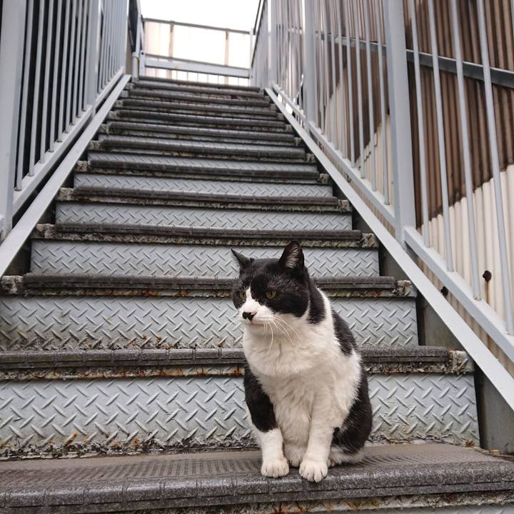 1ebec358 c520 47a4 9a29 e8270c231ce5 1674356140210