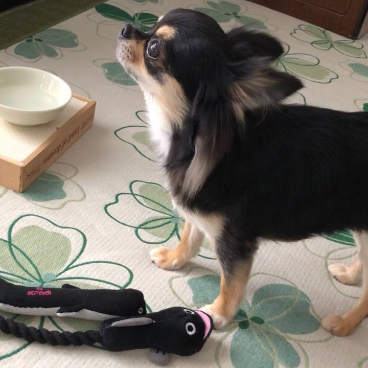 1ebedf07 c3f4 4326 b472 fdce9df0db52 1565418286878