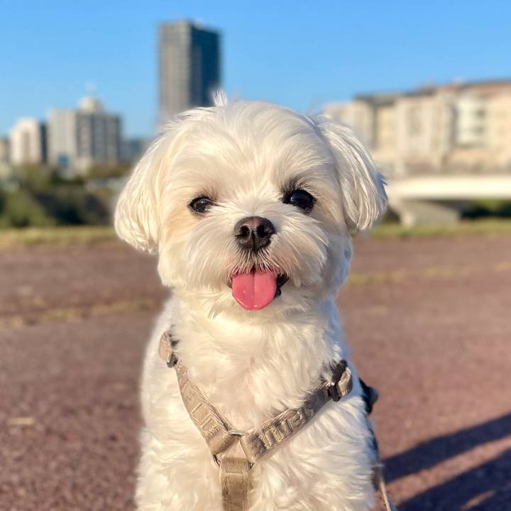 1ebee8b7 ebbc 493a 8477 8c499ab7332f 1761223358713