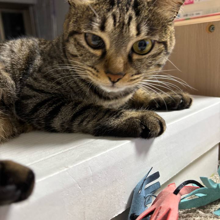 1ebee9d3 920e 42e9 968a 5c4e7f909d93 1769047570844