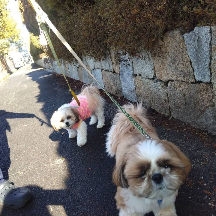 1ebef251 b66f 491b 96aa faba42ea34e3 1704076265094