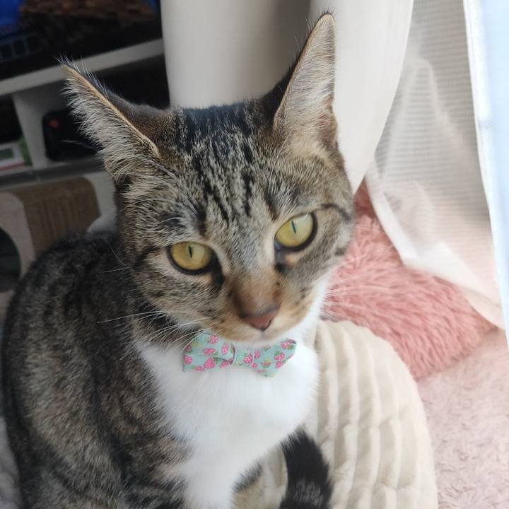 1ec00872 6e97 479d 9ce1 2dafa9fb965f 1676530471160