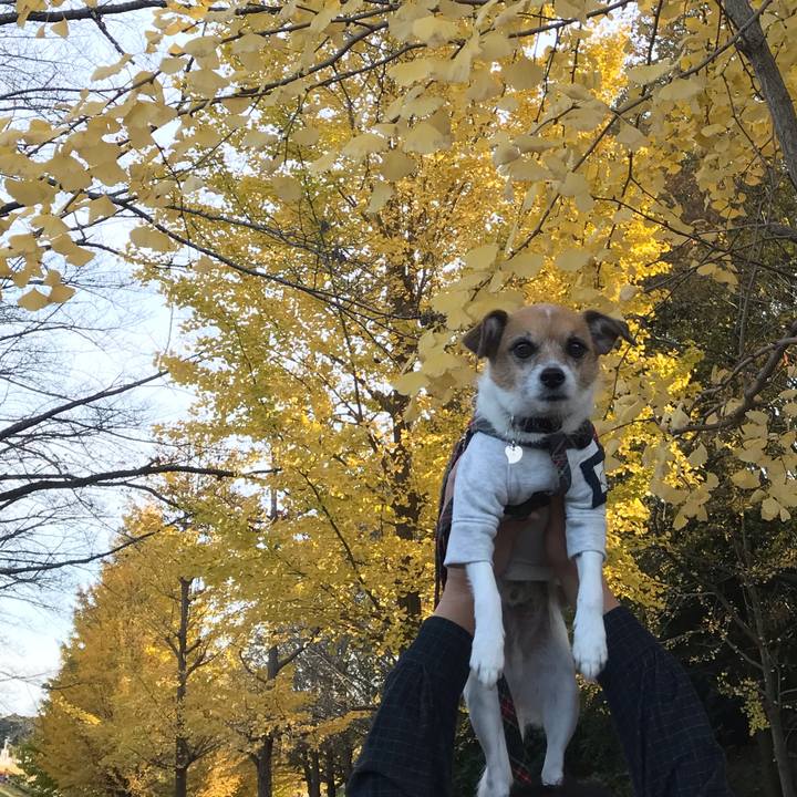 1ec017e6 4a19 4022 b40b be71abc8f7a0 1543651540097