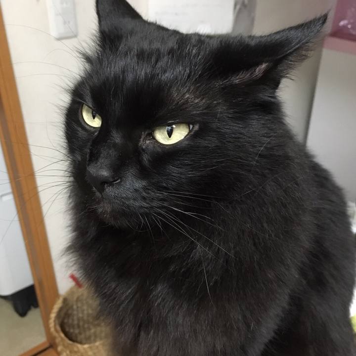 1ec01db1 9a79 436b a5b6 0ae9bec88415 1513429083229