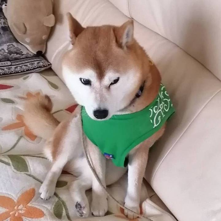 1ec06fc4 c657 4879 8f2b 5e460810683a 1587980059804