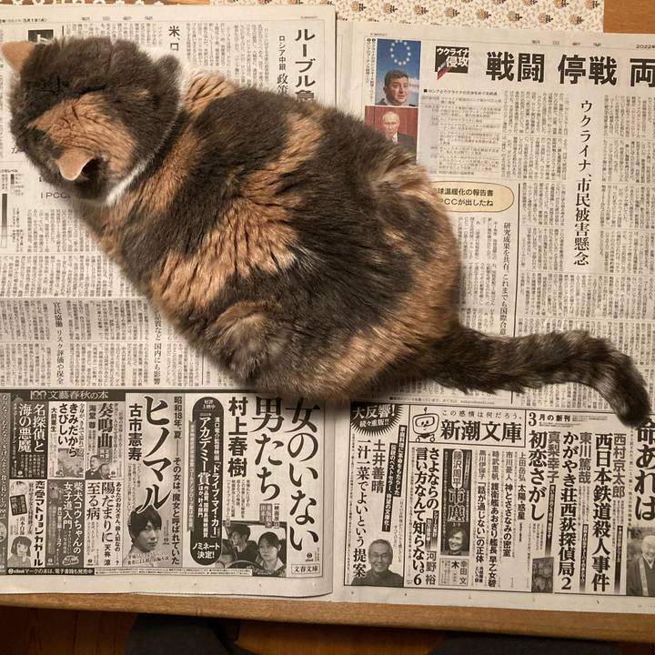 1ec07853 9237 400c a828 ae452ddc8a60 1646131105584