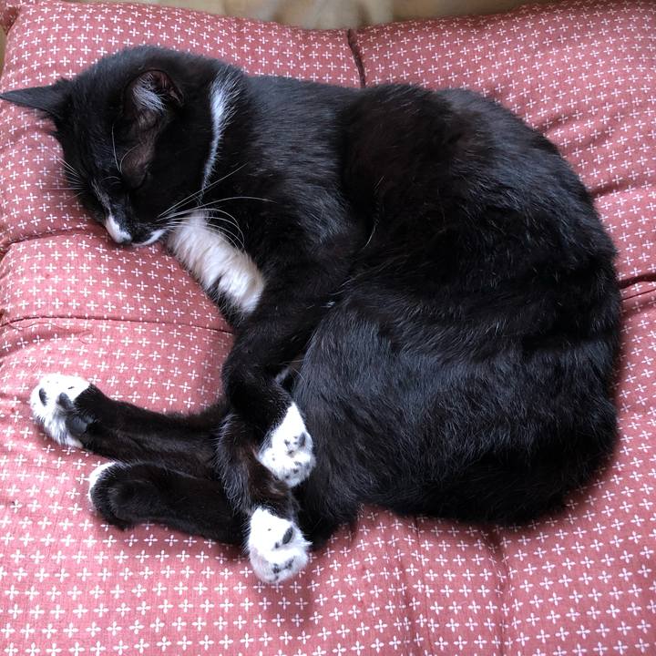 1ec09715 0da1 4dff 9f06 c020d70b1dd1 1560310194963