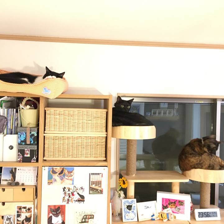 1ec09afb 95b0 41b9 86be be5fe6b66bde 1538234834633