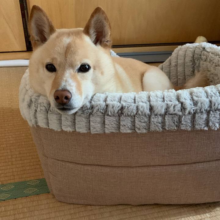 1ec0b0d9 ef41 4055 a720 0b04827f05ff 1622505508230