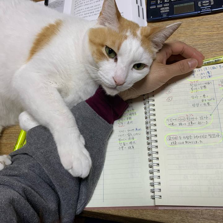 1ec0c1c8 91f6 48bf a9cb e2039b9ade40 1617518625578