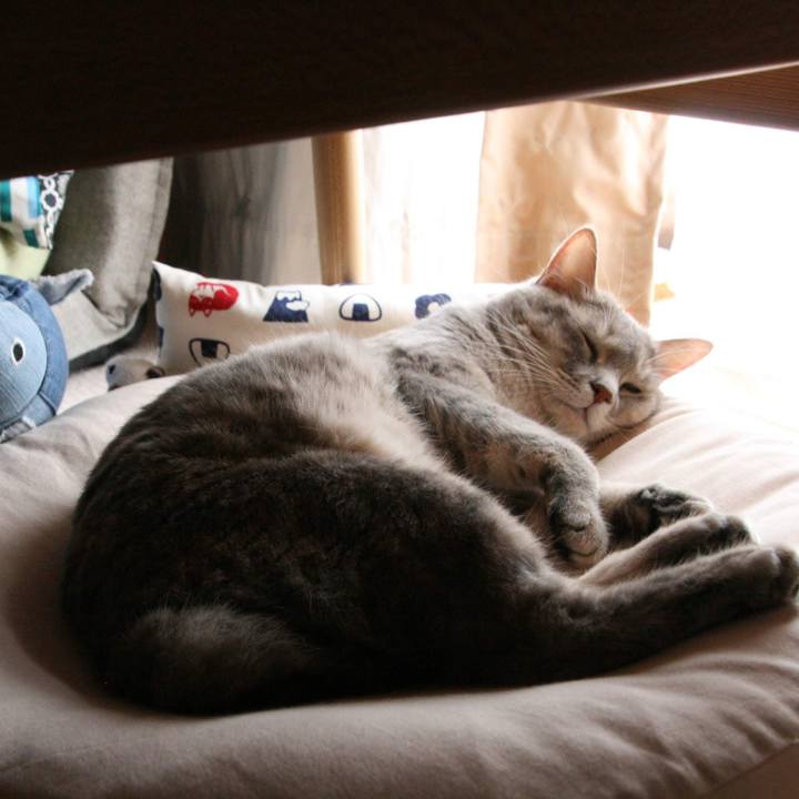 1ec0f69c 137c 4bb0 bc94 bce843a54335 1537000114855