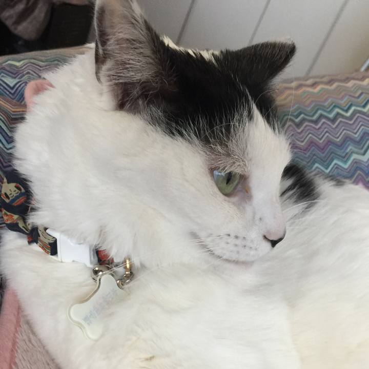 1ec13a64 0e72 4299 952b fd2c86b72739 1517873974544