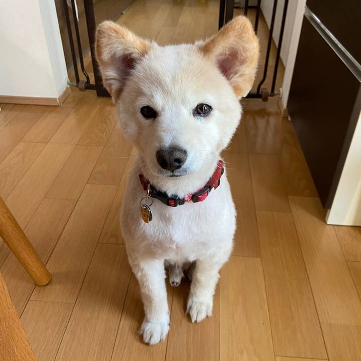 1ec16284 96c0 44fb 979c 720fedadf235 1680484864500