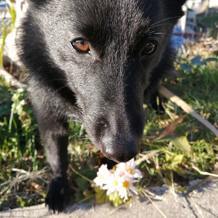 1ec1be84 199c 4b54 86b1 b6cb3247be21 1638660501869