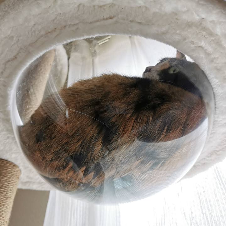 1ec1c7e6 21b6 49f6 aaf7 6d0557616a95 1658113281200