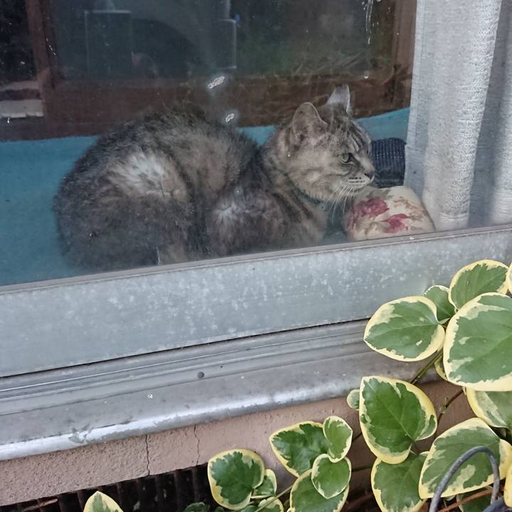 1ec1e281 6ff8 4c64 a179 effd5ac2a403 1568884319089