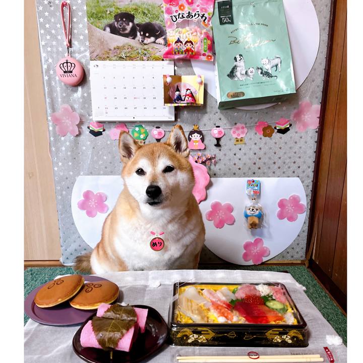 1ec2049b fa99 44d5 b07a 907589ecf247 1709460237153