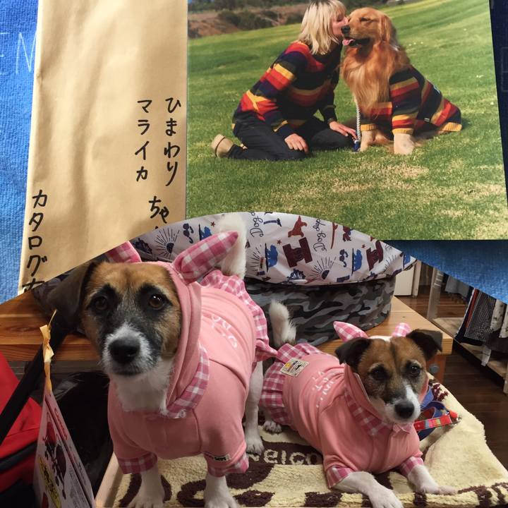 1ec22ca1 d756 4b20 80f1 eed6292f4a3d 1537693943910