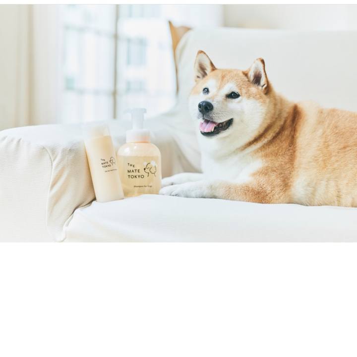 1ec25402 eb32 4771 9ff4 c4998a11cb25 1688300373258