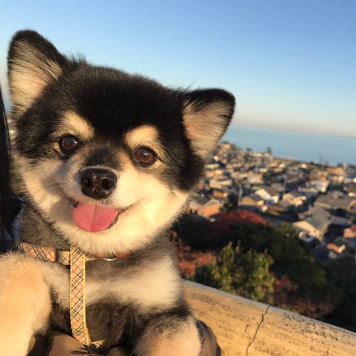 1ec25e38 f8c0 4d65 80d2 973a51e93f7a 1575810314655