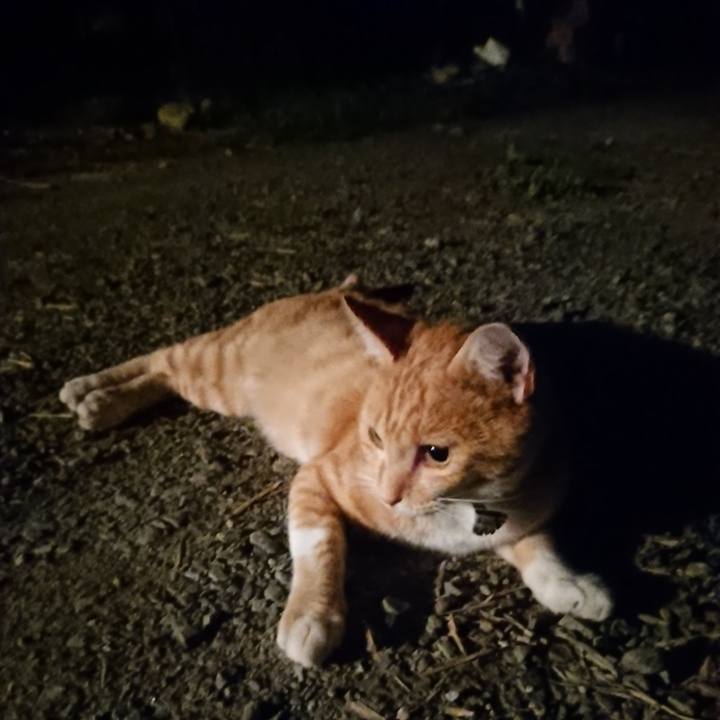 1ec27d8e 6974 4586 90e1 c6183daa34e5 1564143138910