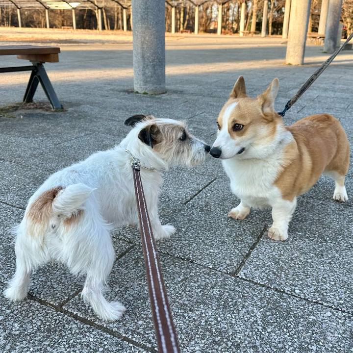 1ec29f01 f5f3 4654 bb22 c6c4cca59c7d 1737194516302