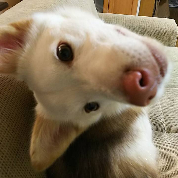 1ec2acd4 fd56 4193 b95e cacfe0428457 1514724631827