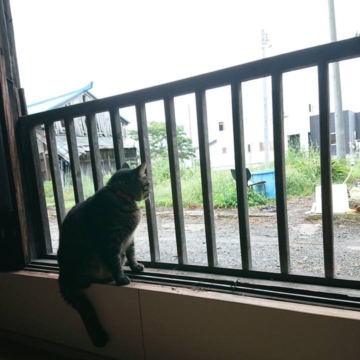 1ec2df38 df93 4634 be3a 7fda2c0593f5 1662610671995