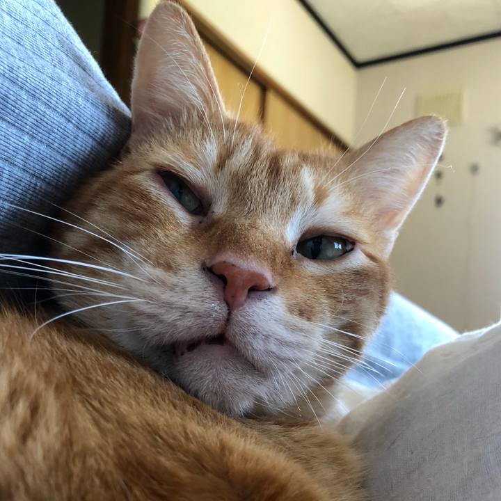 1ec3284c 1376 4fcc b588 5fe76667f1a1 1595645363352