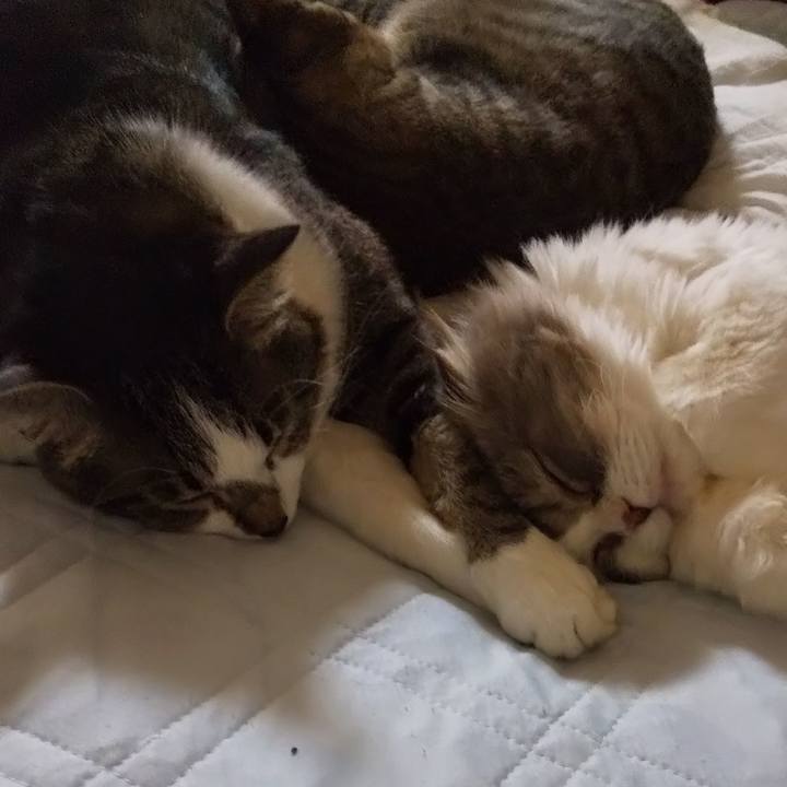 1ec3461f f16f 4a2e 9034 eeee6abc16cd 1660728145167