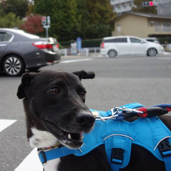 1ec358f5 5807 4b0f 9cfb 8b7cccea9e01 1604656709799