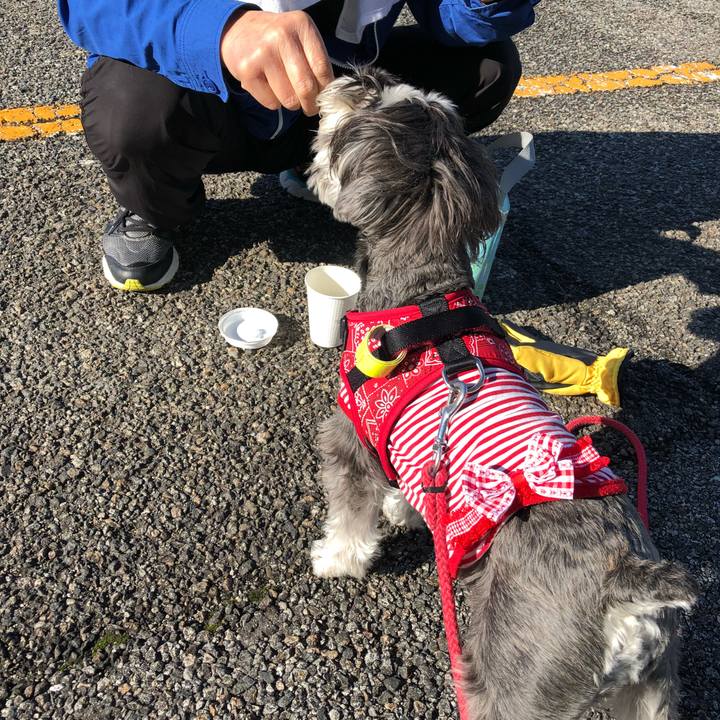 1ec36c67 fd73 4b7c 862b feea471e4c94 1520040500415