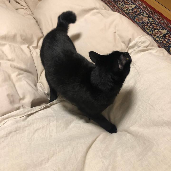 1ec37b58 5da5 4686 9796 e8b1f9d35f43 1556809983610