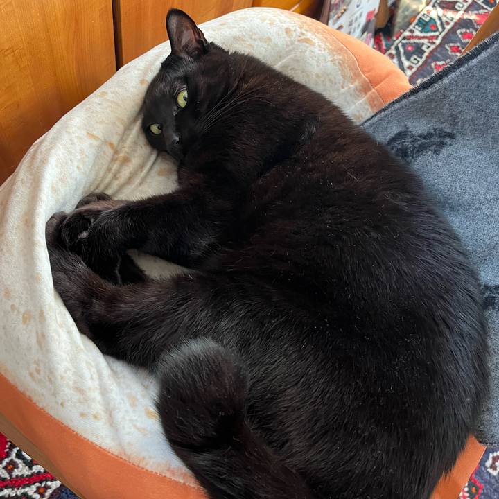 1ec3835c 7054 455d 84a6 cebf95a86110 1710651249091