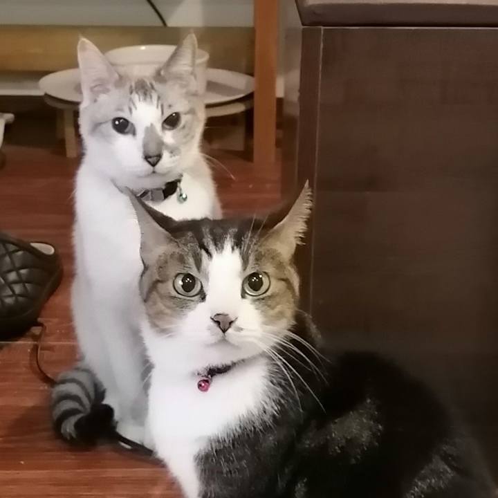 1ec3a64d f809 4d64 99b7 f37f7b35d3bd 1610441552314